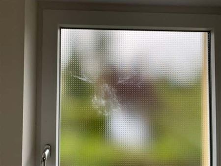 Nehody sa st�vaj�  