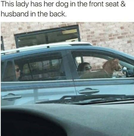 Nehody sa st�vaj�  