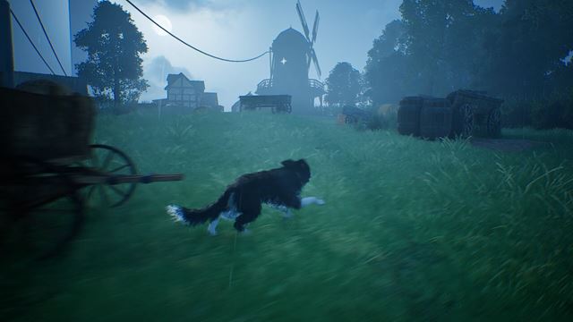 Hounded z v�s sprav� vern�ho ps�ka na v�prave za svoj�m p�nom 