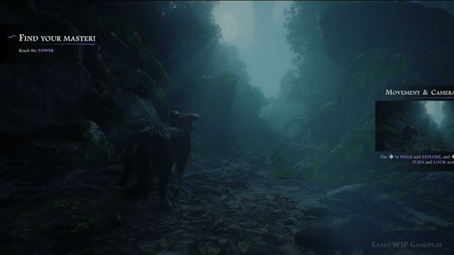 Hounded z v�s sprav� vern�ho ps�ka na v�prave za svoj�m p�nom 