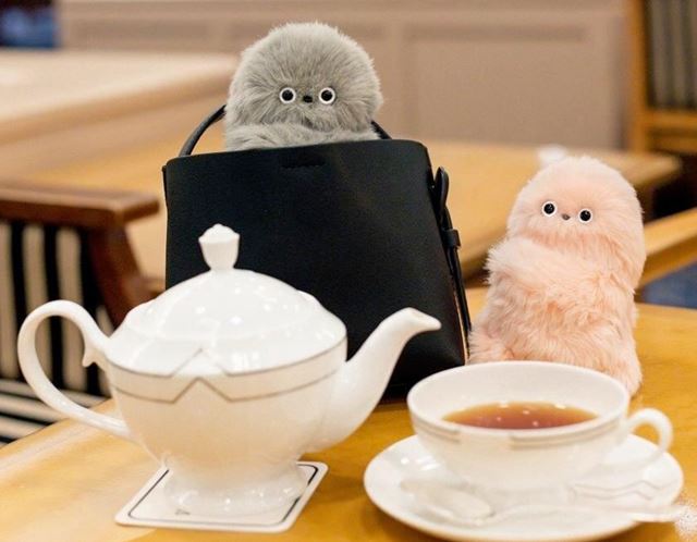 Mirumi robot je ako nasledovník Labubu 