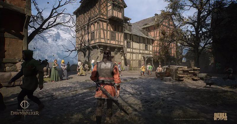 The Blood of Dawnwalker po�iadavky