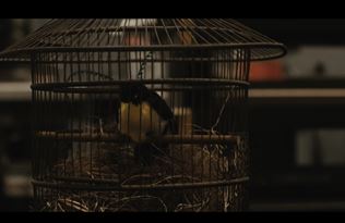 Dokument zo z�kulisia Harry Potter seri�lu ukazuje casting, tvorbu tvorov a kost�mov 