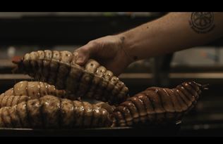 Dokument zo z�kulisia Harry Potter seri�lu ukazuje casting, tvorbu tvorov a kost�mov 