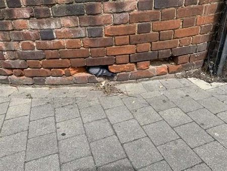 Hniezda sa daj� postavi� hocikde  