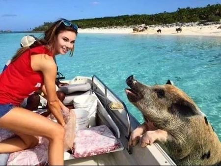 V�kendovky  
