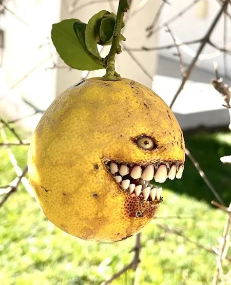 V�kendovky  