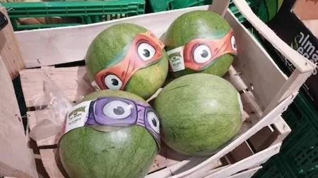 V�kendovky  