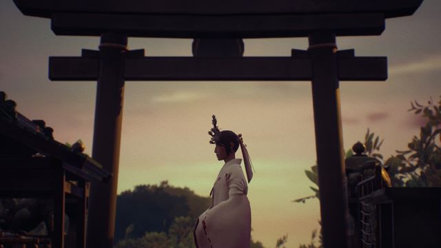 Sombras: Negative frames sa m��e zachr�ni� fotografovan�m 