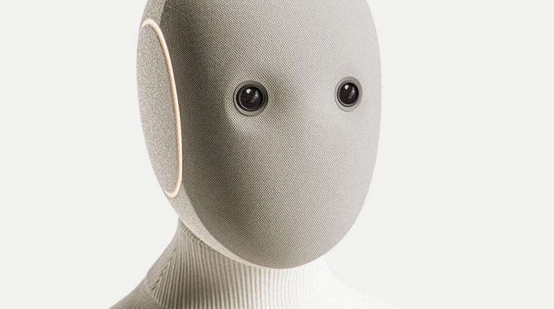 Európske humanoidné projekty sa rozrastajú - od domácich pomocníkov po robotov do tovární