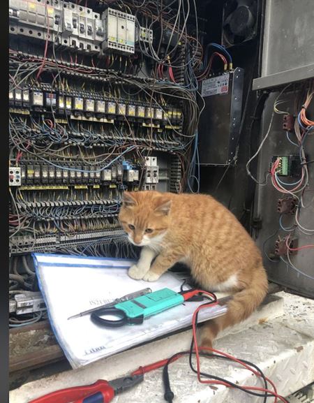 V�kendovky  