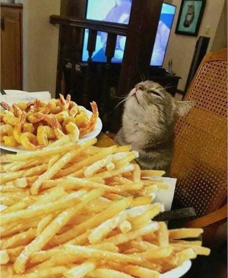 V�kendovky  