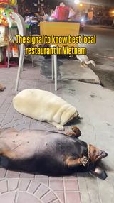 Ako spozn�jte kvalitn� re�taur�ciu vo Vietname?