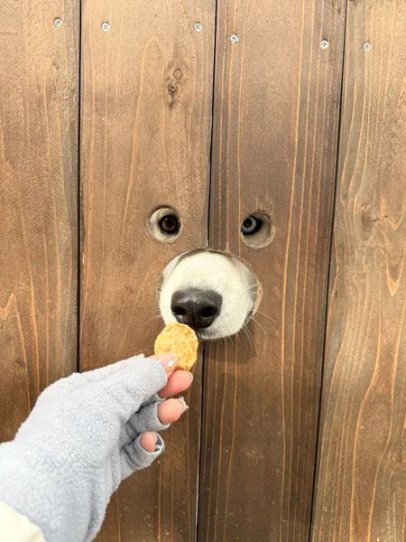 V�kendovky  