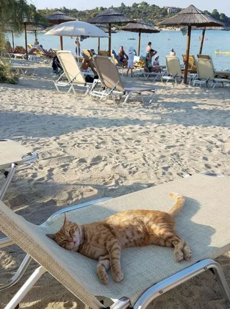 V�kendovky  