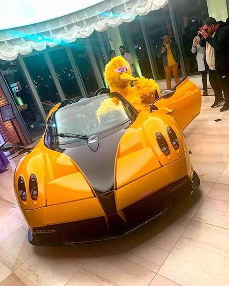 V�kendovky  