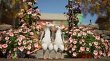 Koopera�n� advent�ra Hela: of Mice & Magic vyjde koncom roka. U� m� viac ako mili�n wishlistov