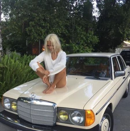 V�kendovky  