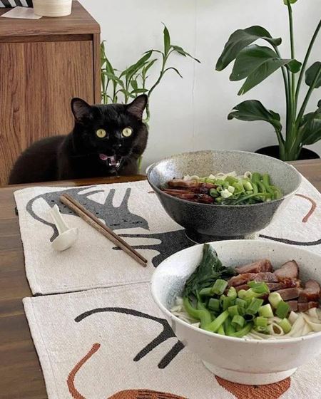V�kendovky  
