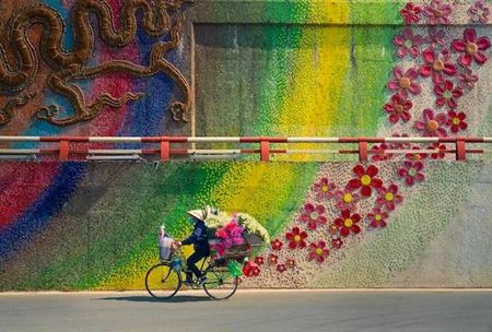 V�kendovky  