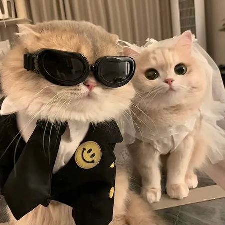 V�kendovky  