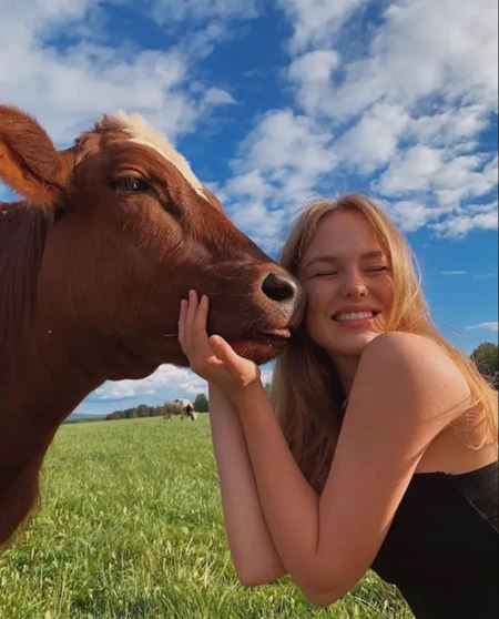 V�kendovky  