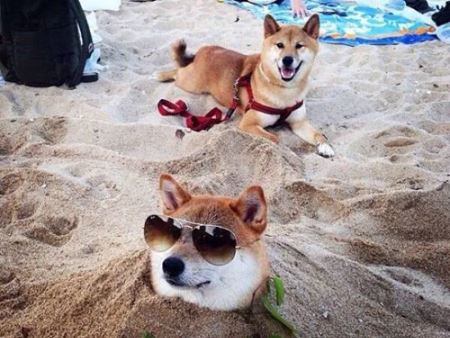 V�kendovky  
