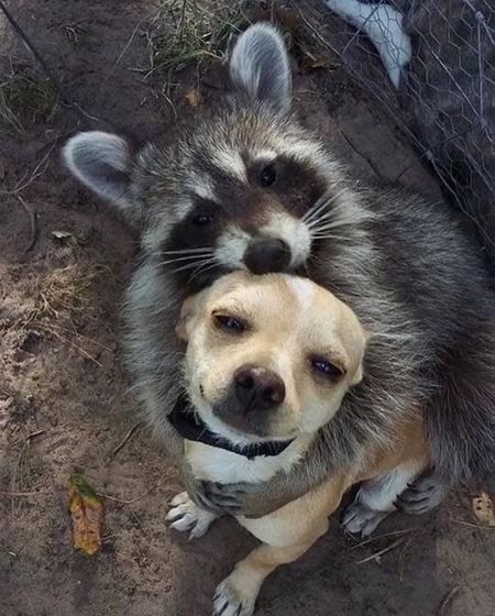 V�kendovky  