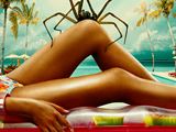 Augustov� filmy