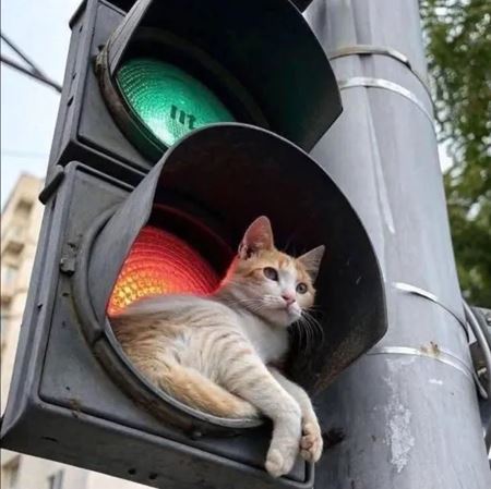 V�kendovky  