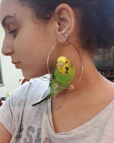 V�kendovky  