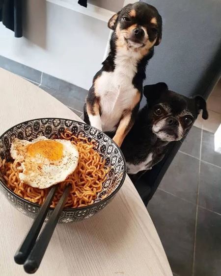 V�kendovky  