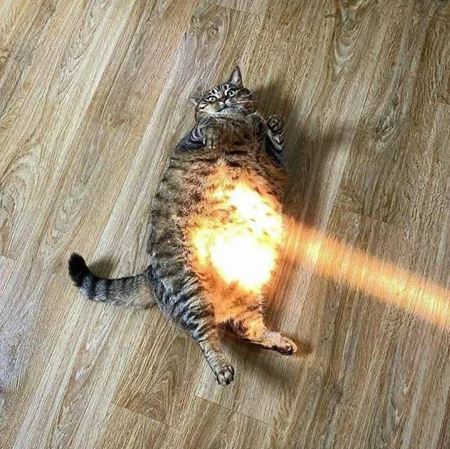 V�kendovky  