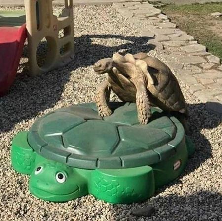 V�kendovky  