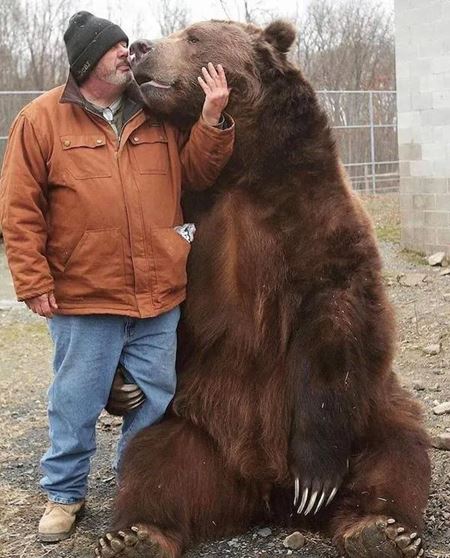 V�kendovky  
