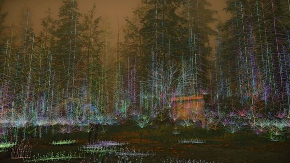 AMD znížilo pamäťové nároky ray tracingu vegetácie až o 98%