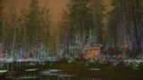 AMD zn�ilo pam�ov� n�roky ray tracingu veget�cie a� o 98%