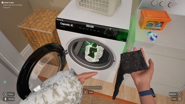 Woman Simulator je simul�ciou ve�ne pracuj�cej man�elky 