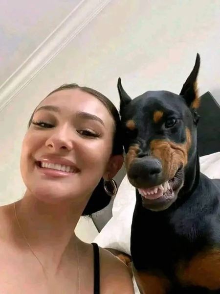 V�kendovky  