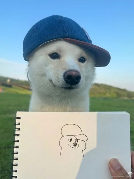 V�kendovky  