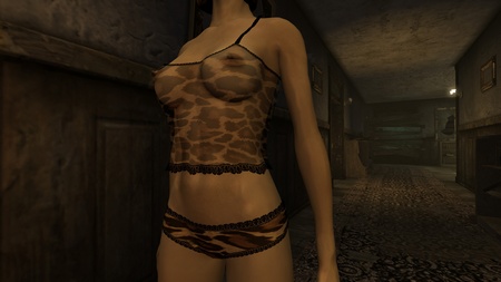 Nude Patch pre Fallout New Vegas