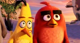 Ak bude filmov prepracovanie Angry Birds?