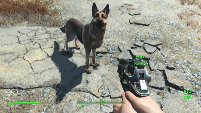 Fanik vyptral viac o novom Survival Mode pre Fallout 4