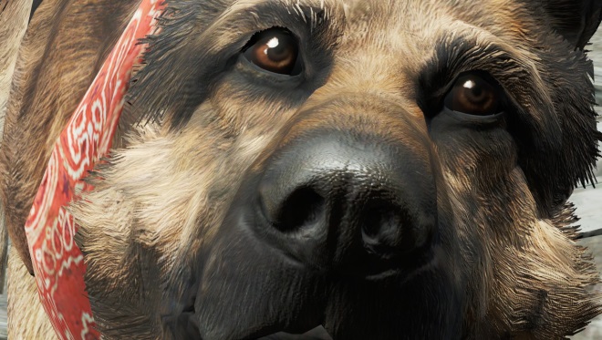 Zahrajte si Fallout 4 ako Dogmeat, skuton hrdina hry