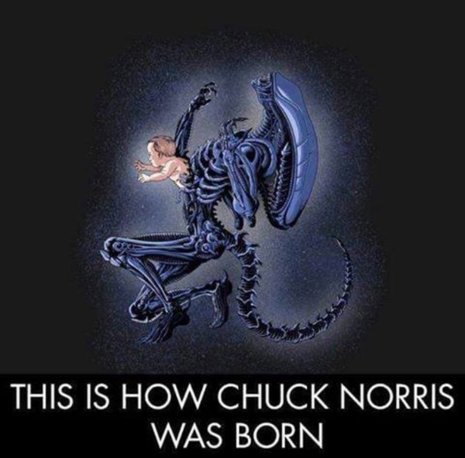 Ako sa narodil Chuck Norris?
