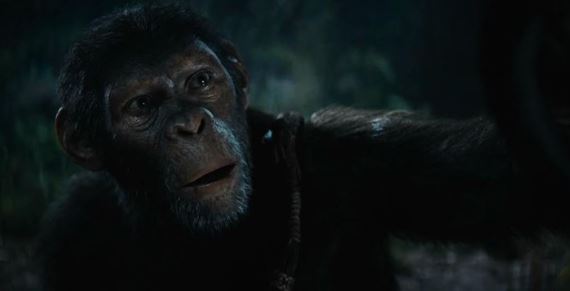 Krovstvo planty opc: viac temn dobrodrustvo ako akn hit