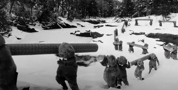 Stovky bobrov - niečo také, ste ešte určite nevideli