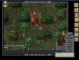Ultima Online: Third Dawn 