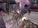 Alien vs Predator GOLD