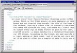 Web s Macromediou